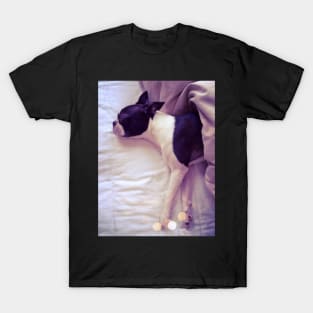 Dreamland T-Shirt